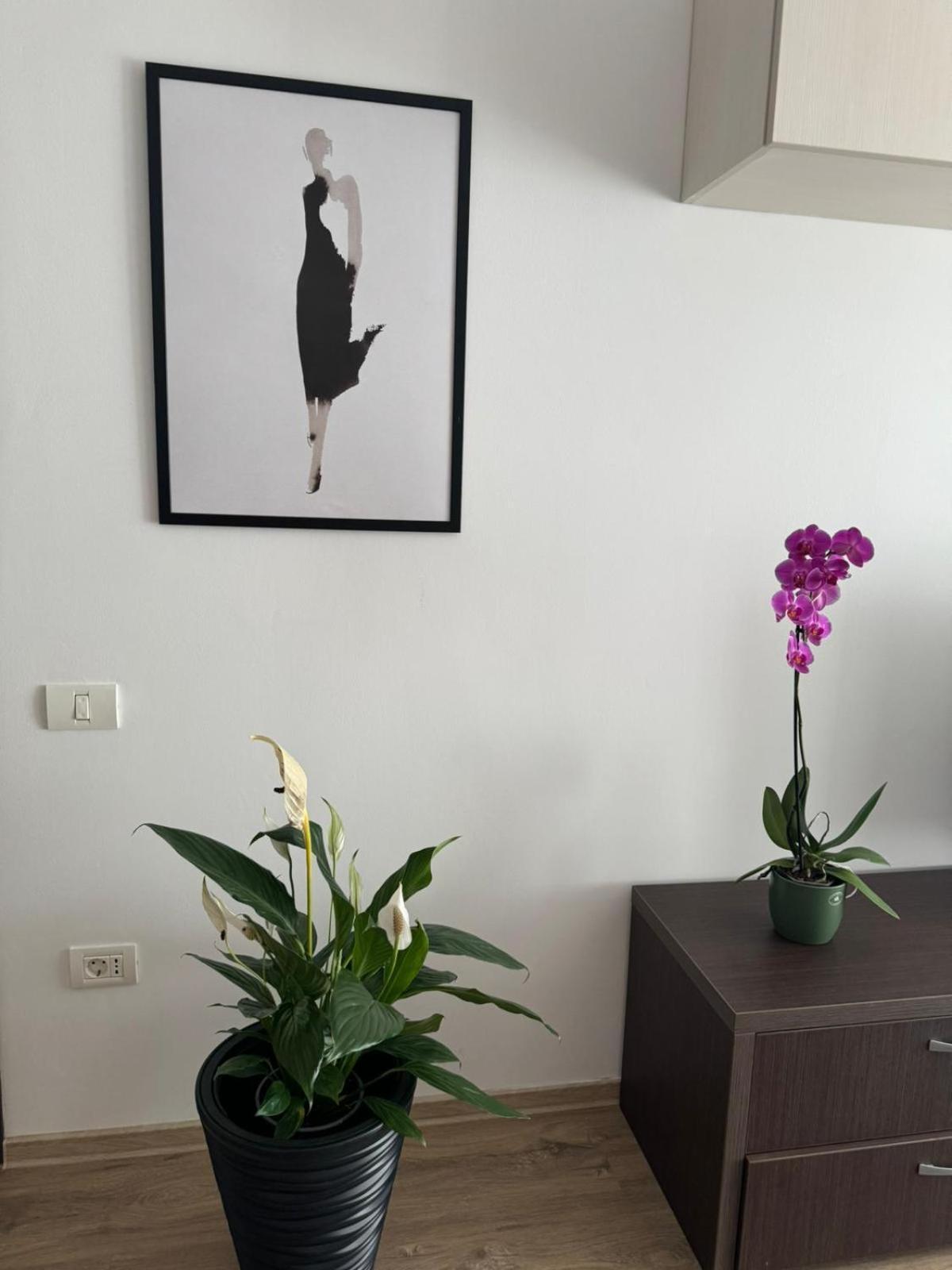 Apart Mihai Viteazu Residence Braszów Zewnętrze zdjęcie